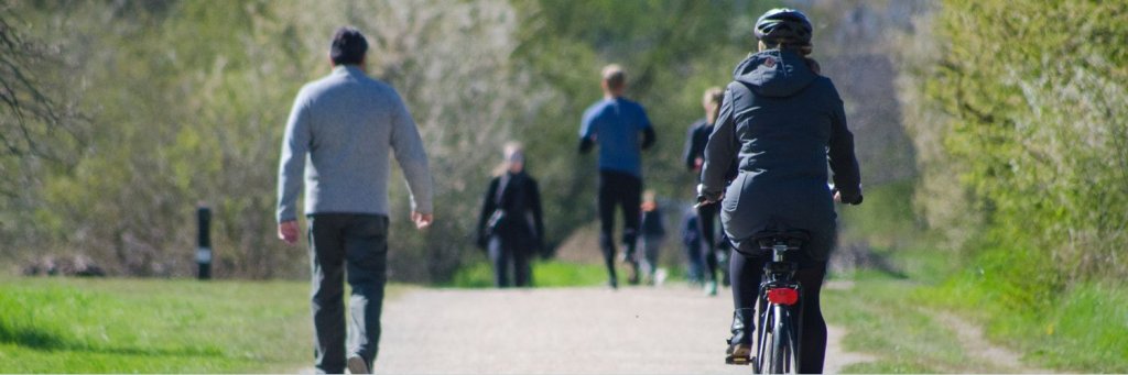 Le vélo et la marche : des alternatives économiques et écologiques à la voiture