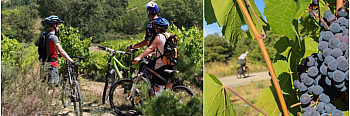 Voyage sensoriel à vélo au cœur des vignobles drômois