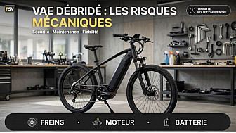 Une minute pour comprendre. Débrider son VAE : le revers de la vitesse